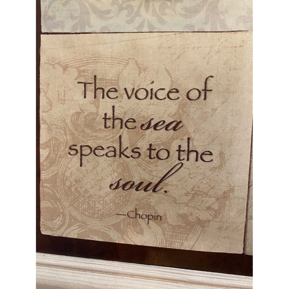 Stephanie Marrott Sea Shell Wall Art - with a Quote from Chopin - Picture 2 of 9